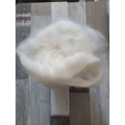 MERINO EXTRAFINA - 31